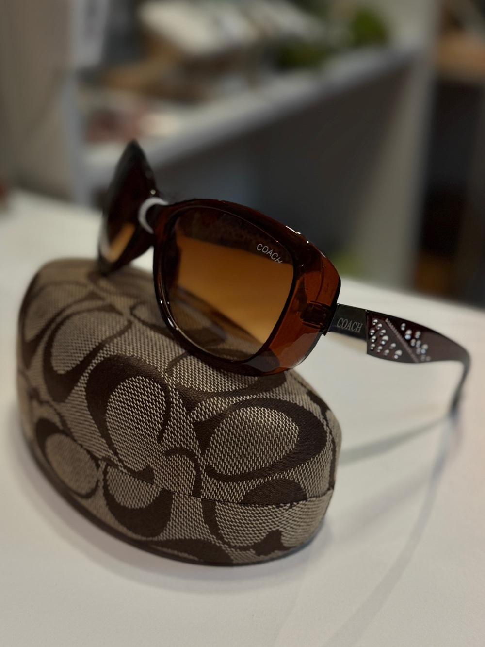 Coach Women's Brown Amber Gradient Sunglasses
